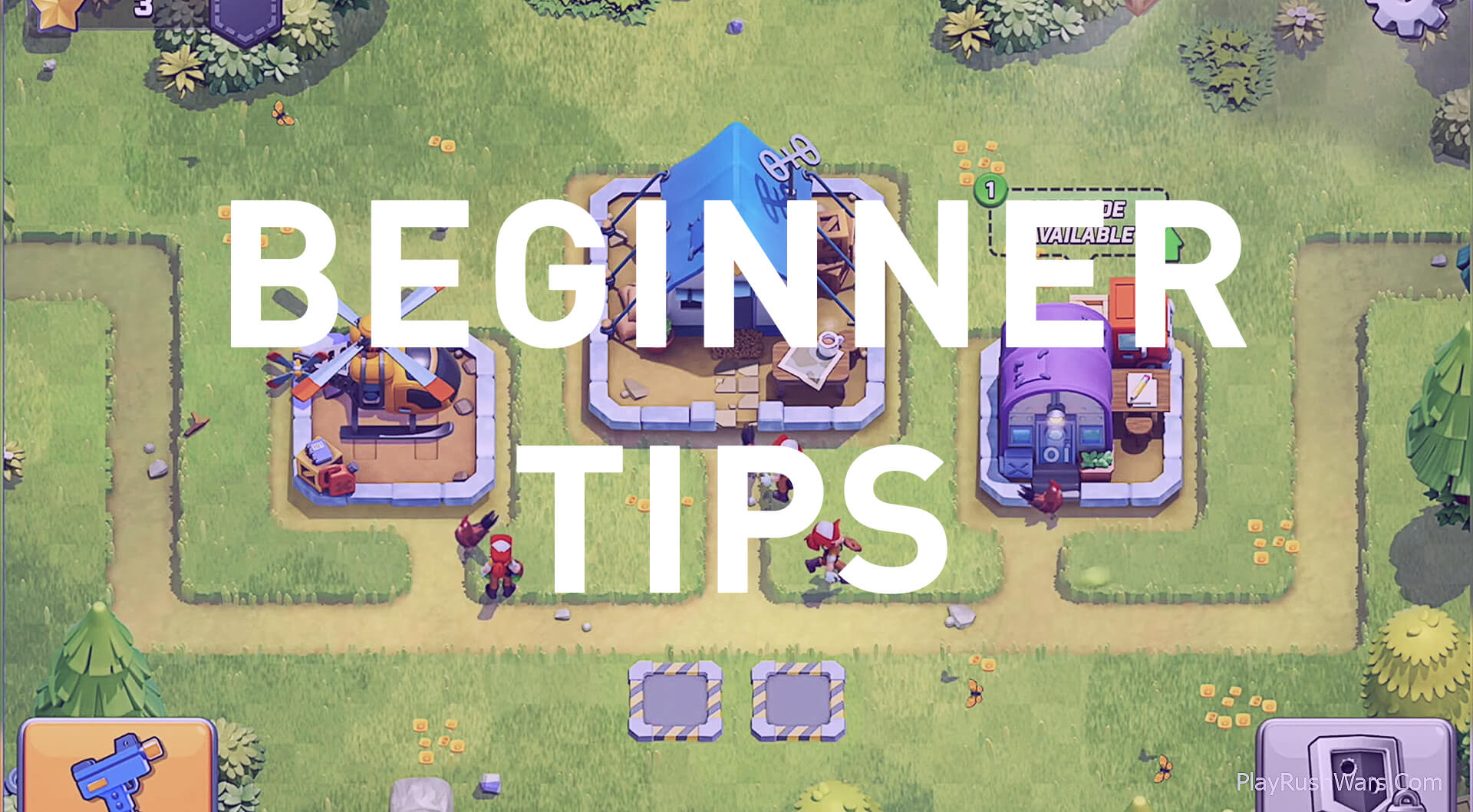beginner tips